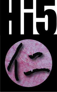 MASTERLOGO Hi5high